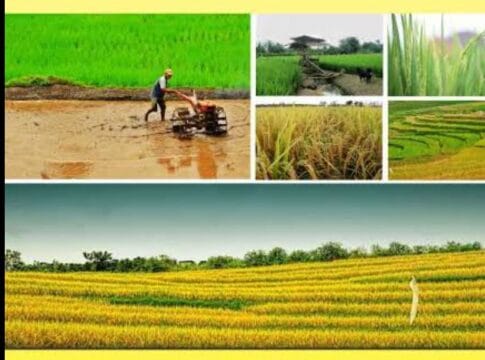 Screenshot_20241111-213425