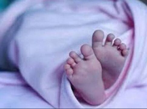 Screenshot_20241203-213303