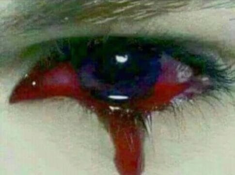 Screenshot_20241204-214622