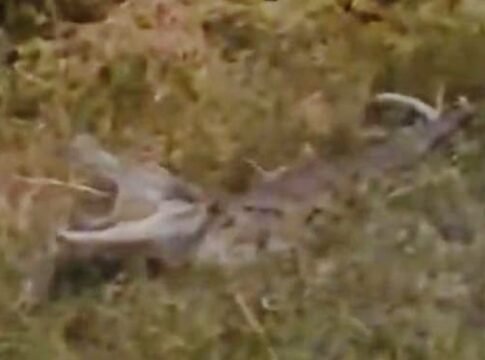 IMG-20260906-WA0065